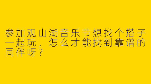 参加观山湖音乐节想找个搭子一起玩，怎么才能找到靠谱的同伴呀？