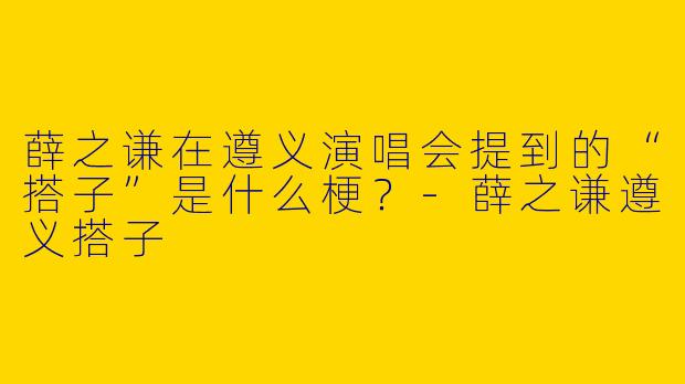 薛之谦在遵义演唱会提到的“搭子”是什么梗？-薛之谦遵义搭子
