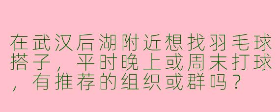 在武汉后湖附近想找羽毛球搭子，平时晚上或周末打球，有推荐的组织或群吗？