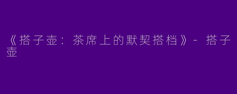 《搭子壶：茶席上的默契搭档》