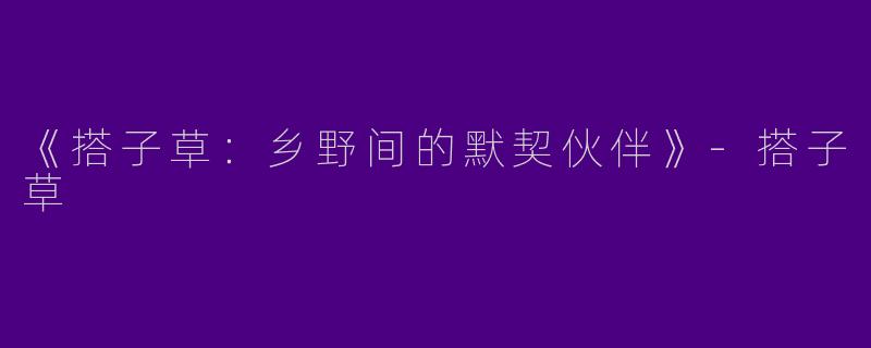 《搭子草：乡野间的默契伙伴》-搭子草