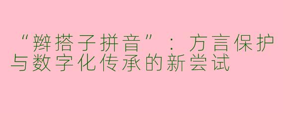 “辫搭子拼音”：方言保护与数字化传承的新尝试
