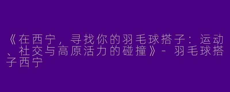 《在西宁，寻找你的羽毛球搭子：运动、社交与高原活力的碰撞》-羽毛球搭子西宁