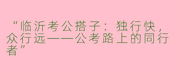“临沂考公搭子：独行快，众行远——公考路上的同行者”