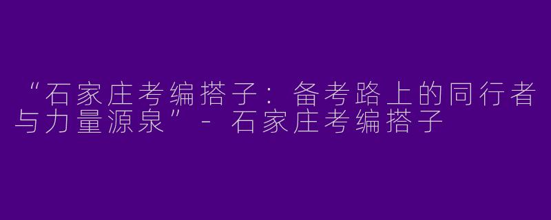 “石家庄考编搭子：备考路上的同行者与力量源泉”-石家庄考编搭子