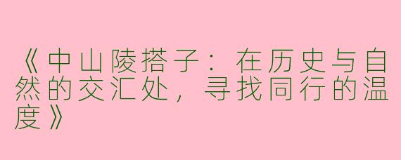 《中山陵搭子：在历史与自然的交汇处，寻找同行的温度》
