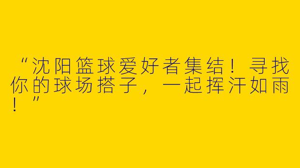 “沈阳篮球爱好者集结！寻找你的球场搭子，一起挥汗如雨！”