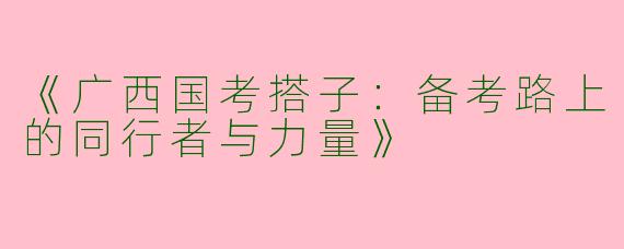 《广西国考搭子：备考路上的同行者与力量》