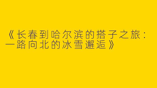 《长春到哈尔滨的搭子之旅：一路向北的冰雪邂逅》