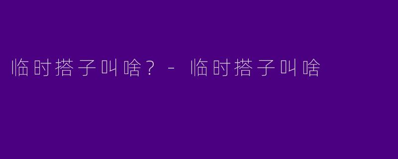 临时搭子叫啥？-临时搭子叫啥
