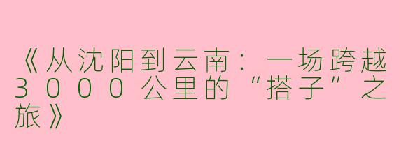 《从沈阳到云南：一场跨越3000公里的“搭子”之旅》