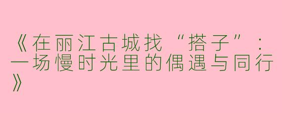 《在丽江古城找“搭子”：一场慢时光里的偶遇与同行》