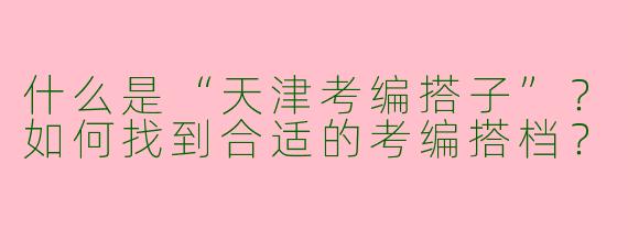 什么是“天津考编搭子”？如何找到合适的考编搭档？
