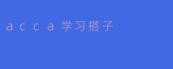 acca学习搭子