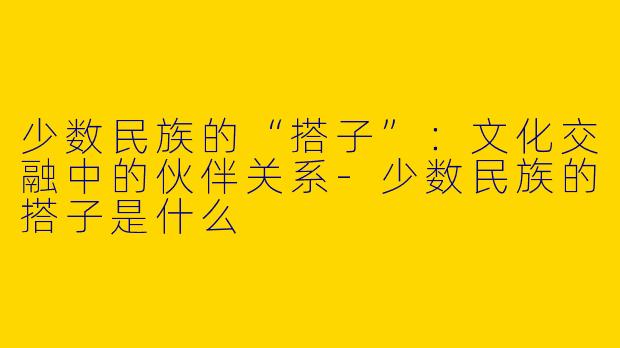 少数民族的“搭子”：文化交融中的伙伴关系-少数民族的搭子是什么