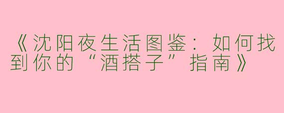 《沈阳夜生活图鉴：如何找到你的“酒搭子”指南》