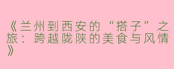 《兰州到西安的“搭子”之旅：跨越陇陕的美食与风情》