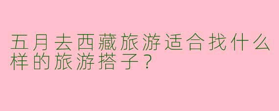 五月去西藏旅游适合找什么样的旅游搭子？