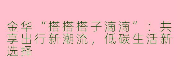 金华“搭搭搭子滴滴”：共享出行新潮流，低碳生活新选择