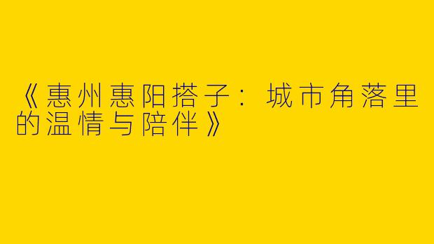 《惠州惠阳搭子：城市角落里的温情与陪伴》