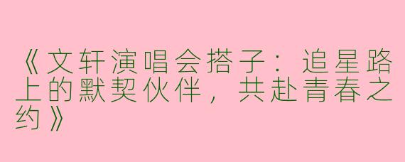 《文轩演唱会搭子：追星路上的默契伙伴，共赴青春之约》
