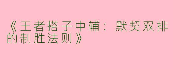 《王者搭子中辅：默契双排的制胜法则》