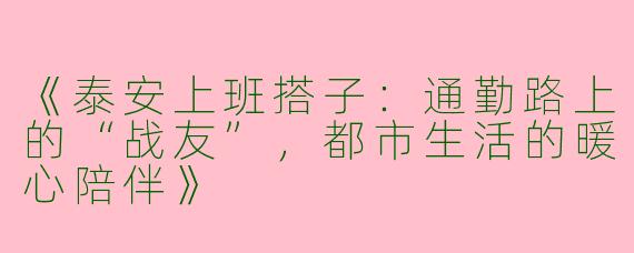 《泰安上班搭子：通勤路上的“战友”，都市生活的暖心陪伴》