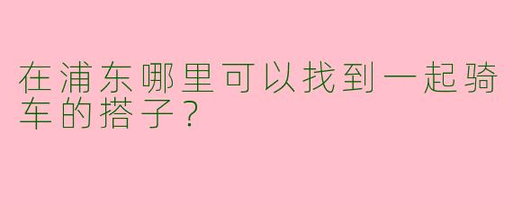 在浦东哪里可以找到一起骑车的搭子？