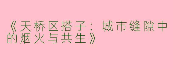 《天桥区搭子：城市缝隙中的烟火与共生》