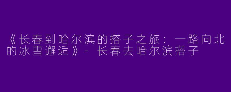 《长春到哈尔滨的搭子之旅：一路向北的冰雪邂逅》-长春去哈尔滨搭子