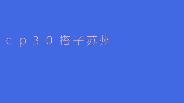 cp30搭子苏州