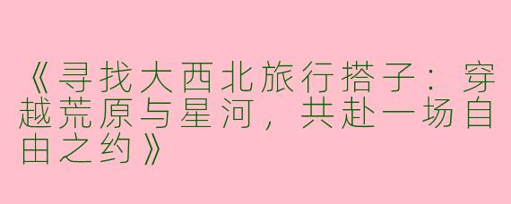 《寻找大西北旅行搭子：穿越荒原与星河，共赴一场自由之约》