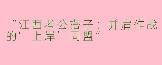 “江西考公搭子：并肩作战的‘上岸’同盟”