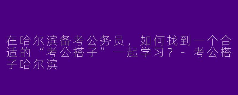 在哈尔滨备考公务员，如何找到一个合适的“考公搭子”一起学习？-考公搭子哈尔滨