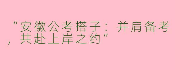 “安徽公考搭子：并肩备考，共赴上岸之约”