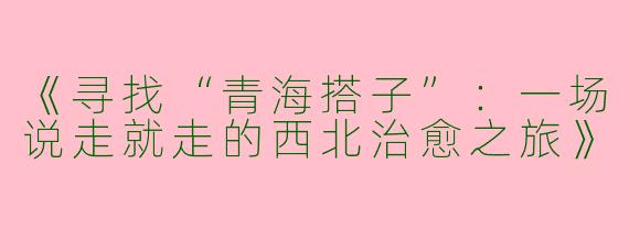 《寻找“青海搭子”：一场说走就走的西北治愈之旅》
