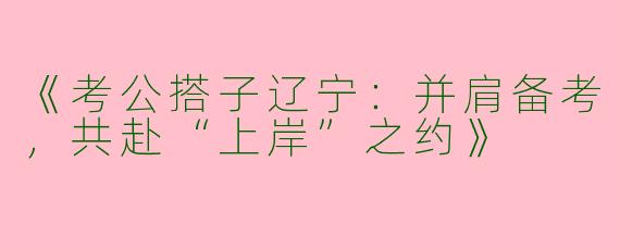 《考公搭子辽宁：并肩备考，共赴“上岸”之约》