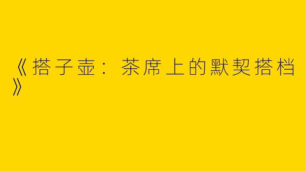 《搭子壶：茶席上的默契搭档》