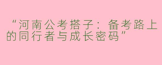 “河南公考搭子：备考路上的同行者与成长密码”