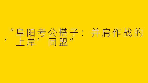 “阜阳考公搭子：并肩作战的‘上岸’同盟”