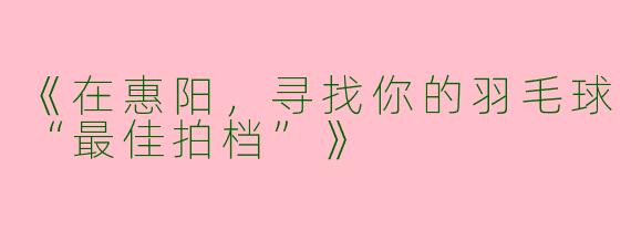 《在惠阳，寻找你的羽毛球“最佳拍档”》