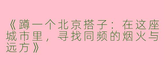 《蹲一个北京搭子：在这座城市里，寻找同频的烟火与远方》
