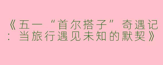 《五一“首尔搭子”奇遇记：当旅行遇见未知的默契》