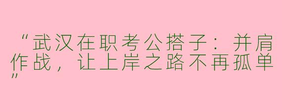 “武汉在职考公搭子：并肩作战，让上岸之路不再孤单”