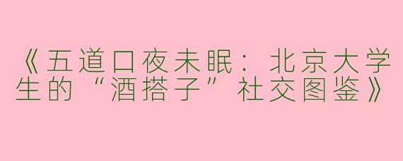 《五道口夜未眠：北京大学生的“酒搭子”社交图鉴》