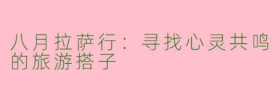 八月拉萨行：寻找心灵共鸣的旅游搭子
