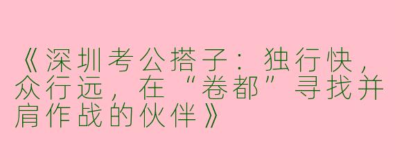 《深圳考公搭子：独行快，众行远，在“卷都”寻找并肩作战的伙伴》