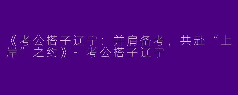 《考公搭子辽宁：并肩备考，共赴“上岸”之约》-考公搭子辽宁