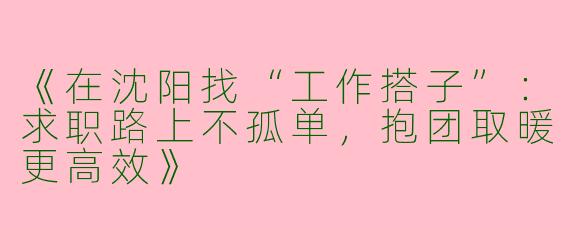 《在沈阳找“工作搭子”：求职路上不孤单，抱团取暖更高效》