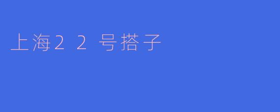 上海22号搭子